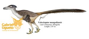 Velociraptor-mongoliensis2