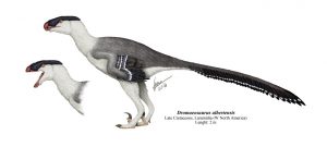 dromaeosaurus-albertensis