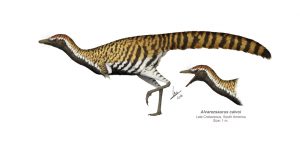 Alvarezsaurus-calvoi