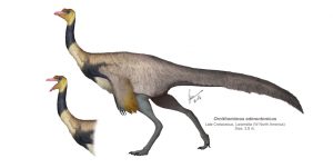 Ornithomimus-edmontonicus